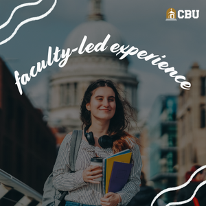 Faculty-Led Experience