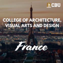 CAVAD France 2027